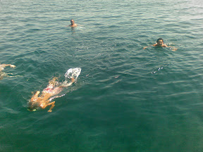 05082008(018).jpg