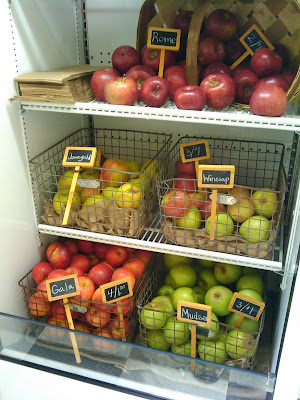 North Georgia Apples in the Frig North Georgia Apples in the Frig