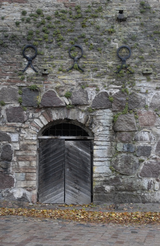 [_DSC0161k[4].jpg]