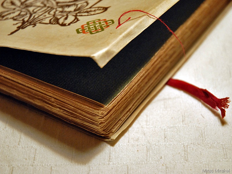 [_DSC1191l[4].jpg]