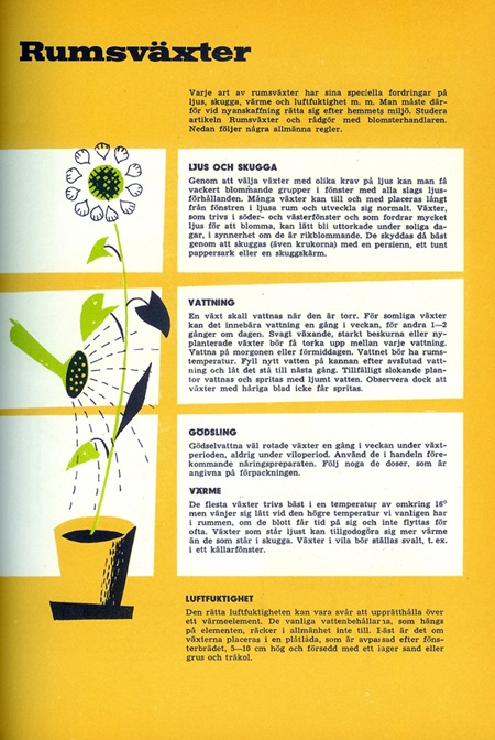 plant plant