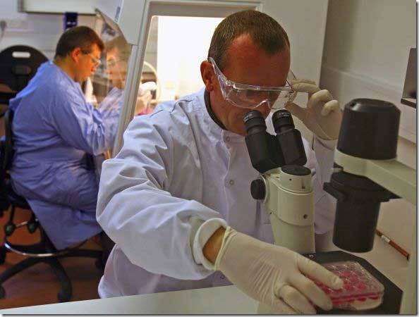 size_590_1-biotecnologia-profissao size_590_1-biotecnologia-profissao