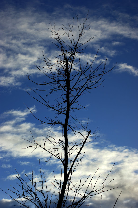 As coisas que amamos