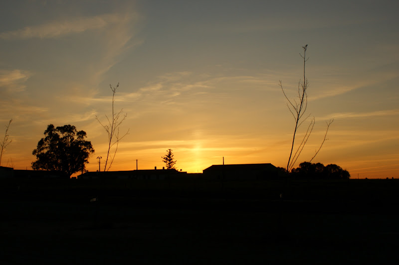 No entardecer dos dias de Verão