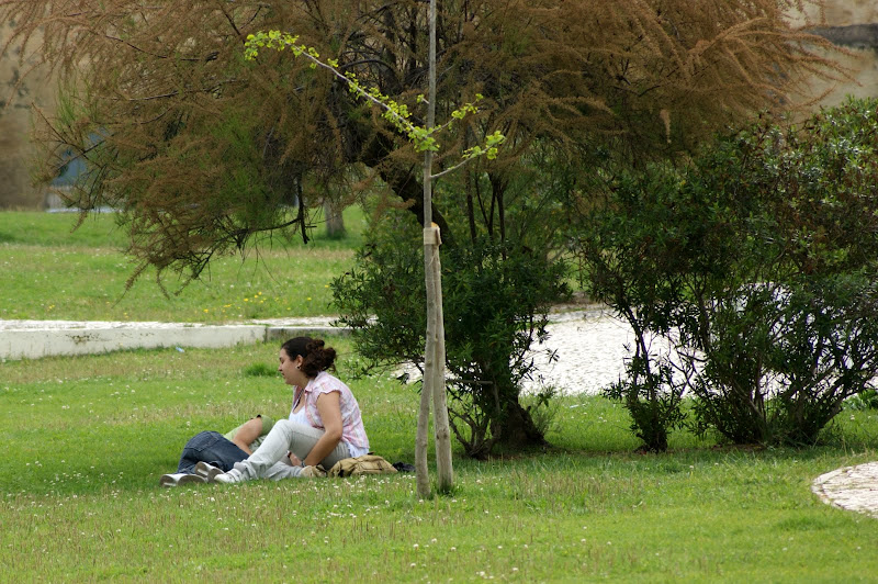 Os dias do Jardim da Algodeia