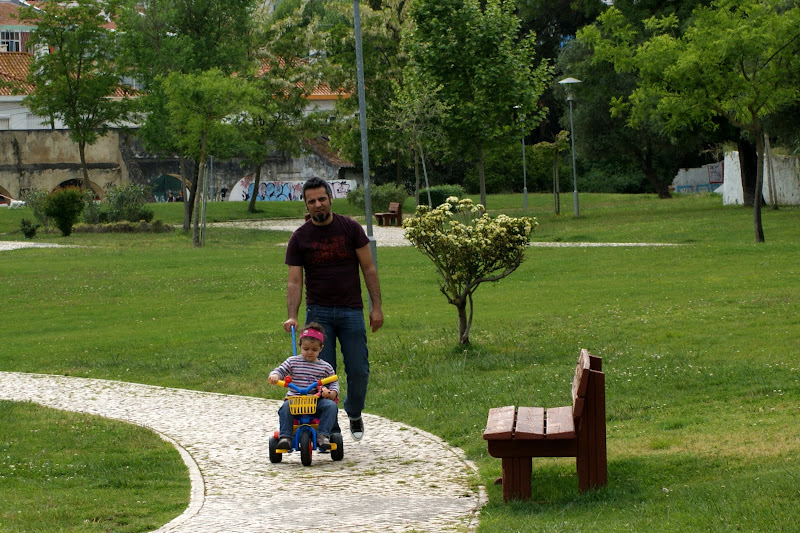 Os dias do Jardim da Algodeia