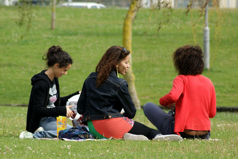 Os dias do Jardim da Algodeia