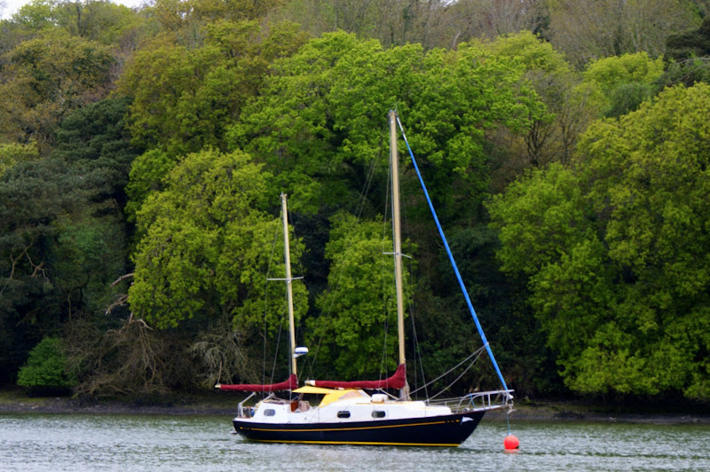 Carrigaline, Irlanda