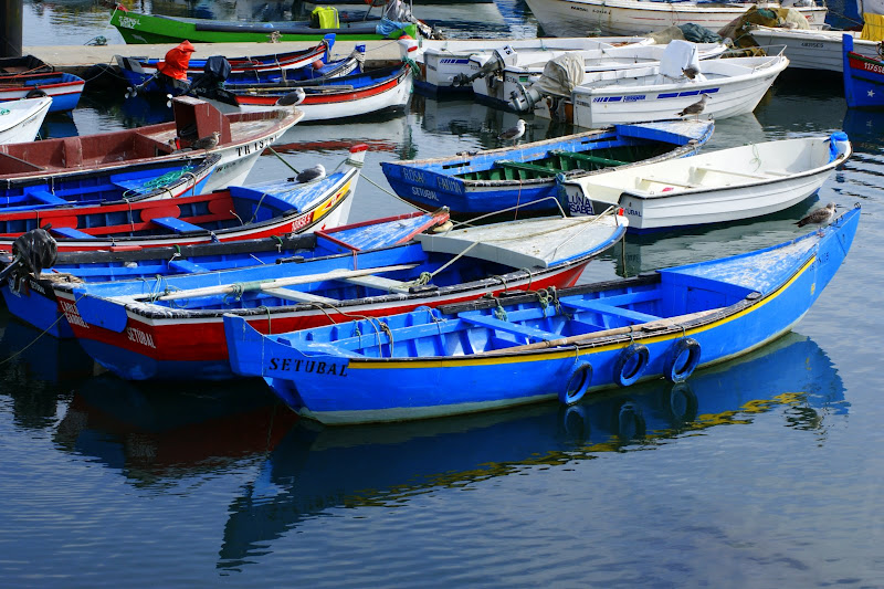 As cores da doca dos pescadores em Setúbal