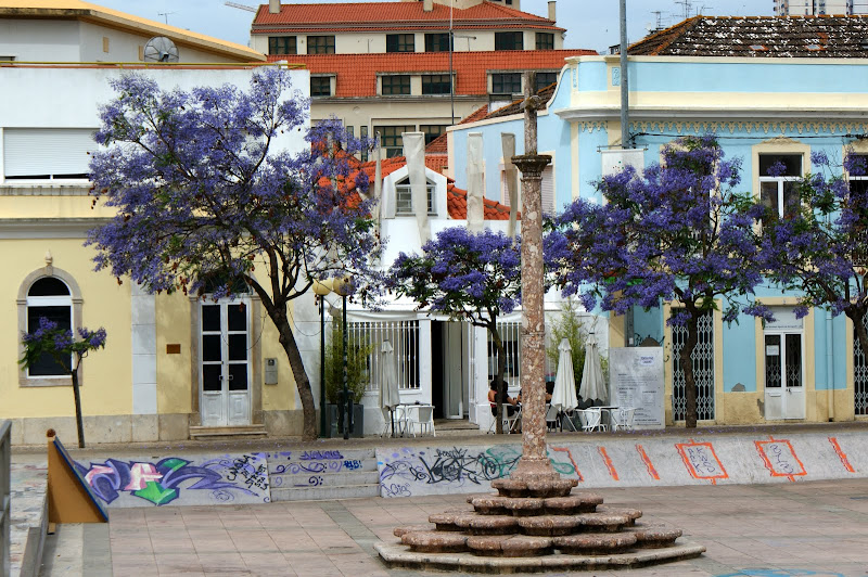 Largo de Jesus, jacarandás e grafitis
