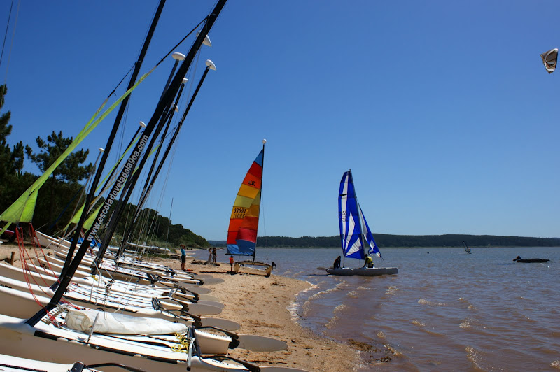 Velas na lagoa de Óbidos
