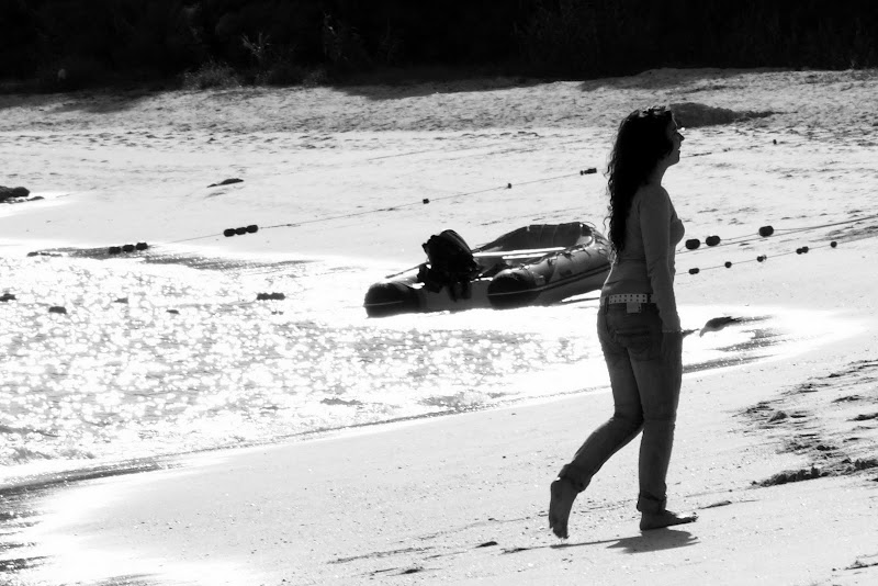 Mar de prata, Albarquel, Setúbal