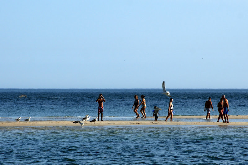 Fim de Verão na Figueirinha