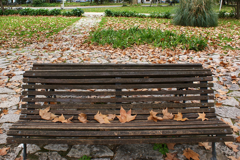 Inverno No Jardim do Bonfim