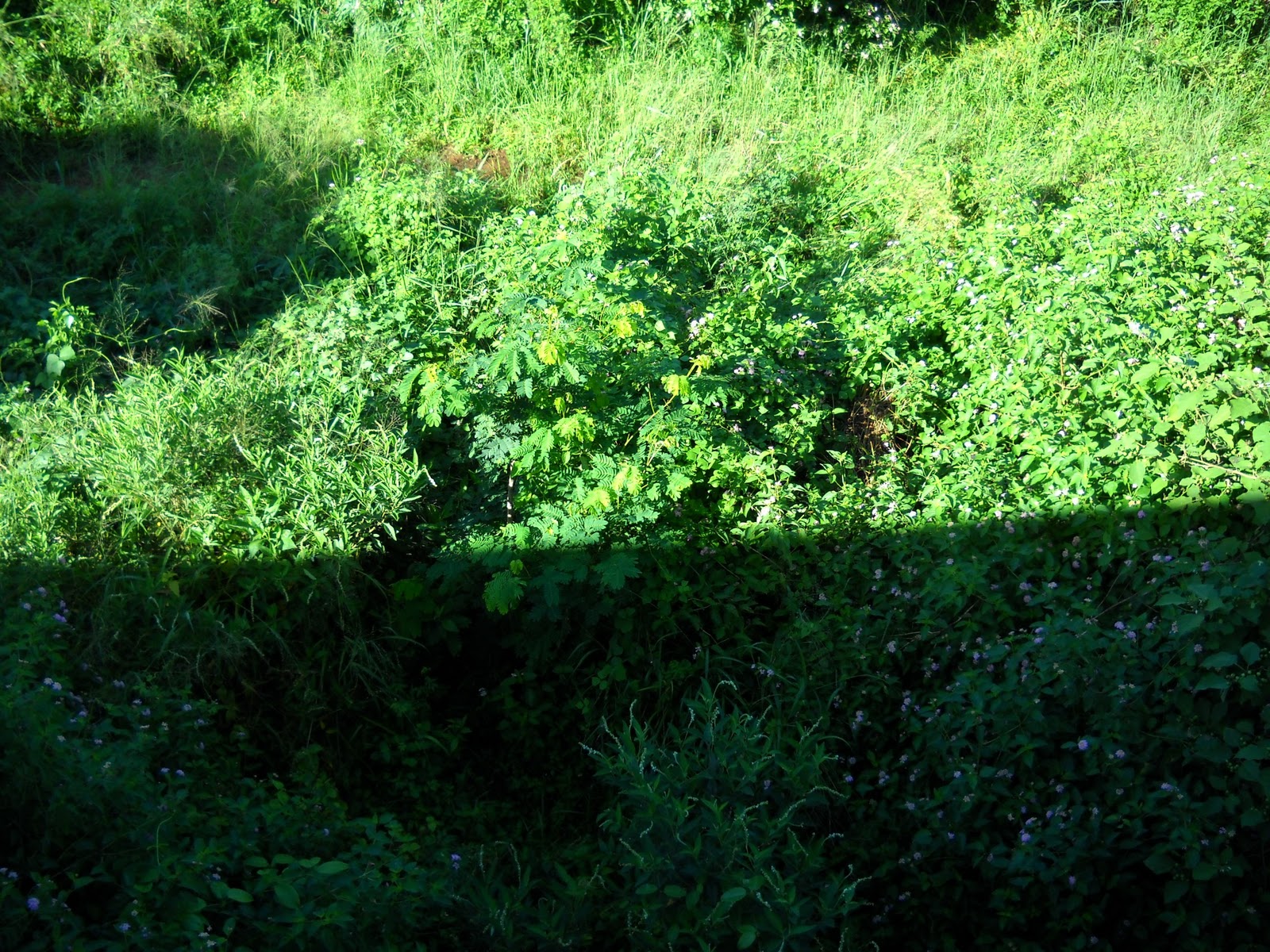 [DSCN05223.jpg]
