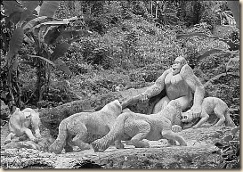 zoologico-de-piedra