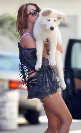 miley-mate (17)_0.jpg