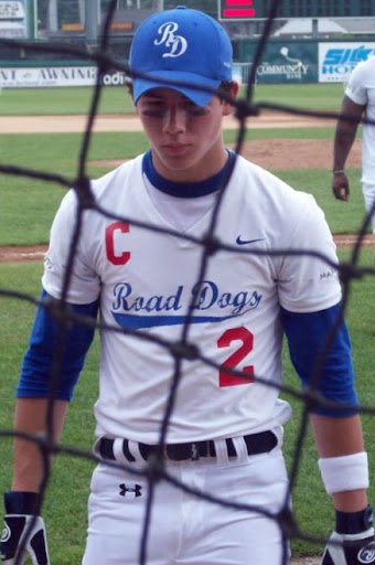jonas-brothers-boston-dogs (24).jpg