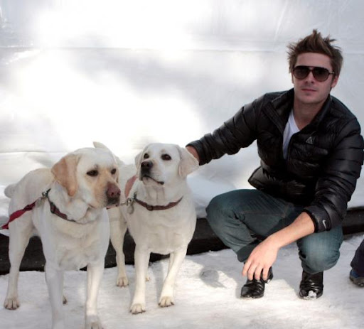 zac-efron-playing-with-dogs (4).JPG