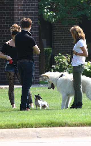 miley-ashley-071610-21.jpg