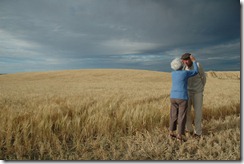 My grandfather was born and raised on our New Zealand farm. He and my grandmother were married nearly 60 years. Preparing for a photo in the barley, my grandmother lovingly reached up to adjust his hat. This was his last harvest. (Photo and caption by Gemma Collier) My grandfather was born and raised on our New Zealand farm. He and my grandmother were married nearly 60 years. Preparing for a photo in the barley, my grandmother lovingly reached up to adjust his hat. This was his last harvest. (Photo and caption by Gemma Collier)