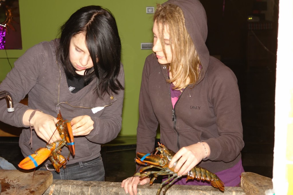 Klik op de afbeelding om de link te volgen