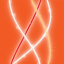 Orange%20small