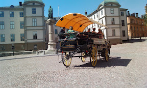 IMAG0282.jpg