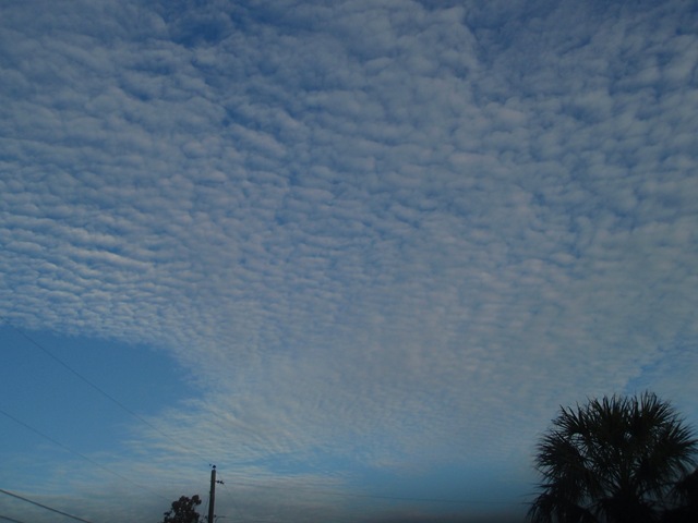 [sky[2].jpg]