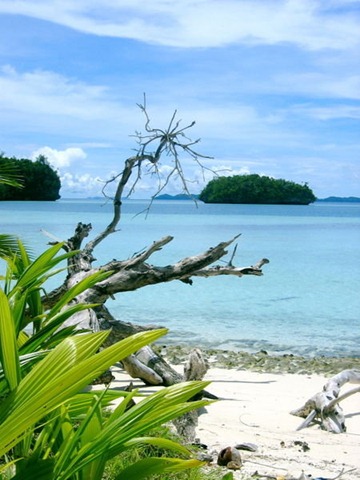 [palau Rock-island[3].jpg]