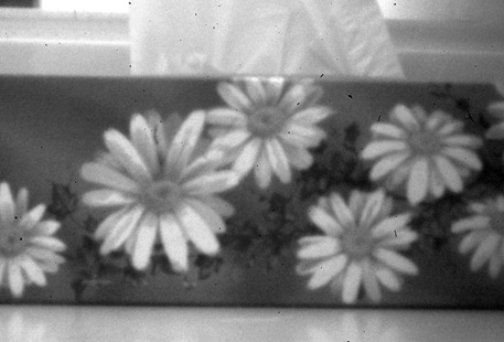 pinholepicedna1