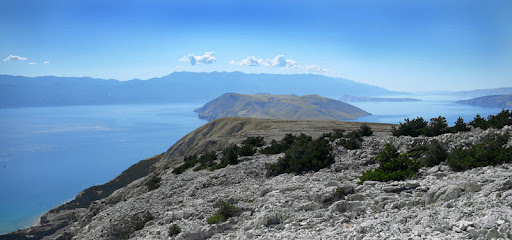 P1200409e.jpg