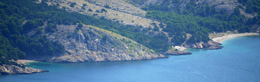 P1200418e.jpg