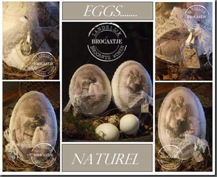 eggs naturel eggs naturel