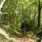 Dinant - 2008-09 (RB10)
