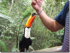 2011_03_21 - Iguazu (0058)