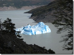 2011_04_16 - Torres del Paine (0094)