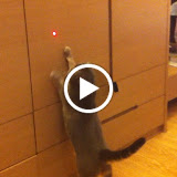 reddot