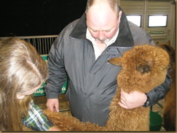 British Alpaca Futurity 2010 Olympus 014