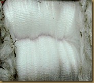 Fleece from one of the new girls Fleece from one of the new girls