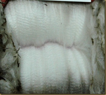 kimberley1[1]