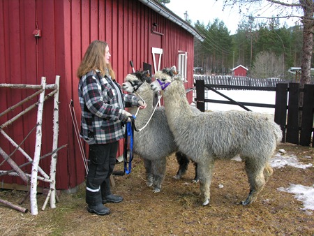 [Andre påskedag 014[2].jpg]