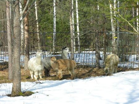 [Andre påskedag 015[2].jpg]