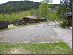 Alpakkaene inn i hagen 004 Alpakkaene inn i hagen 004