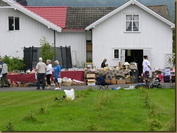 Liv og røre på Austvatn 007