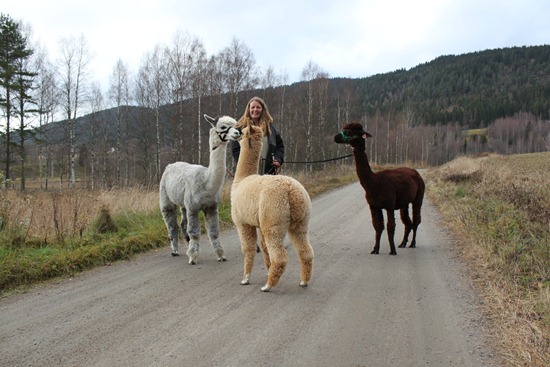 [Rusletur med Texas, Viella og Wayra 009[3].jpg]