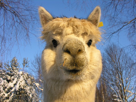 [Vinterdag etter nyttår 057[4].jpg]