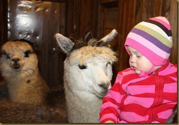 Viella liker barn