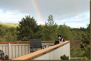 Mus and rainbow