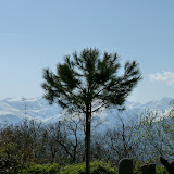 P1000749.JPG